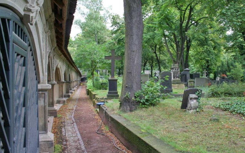 Restaurierung von acht spätmittelalterlichen Sandsteinepitaphen - Renaissancefriedhof - Stadtgottesacker Halle (Saale) 